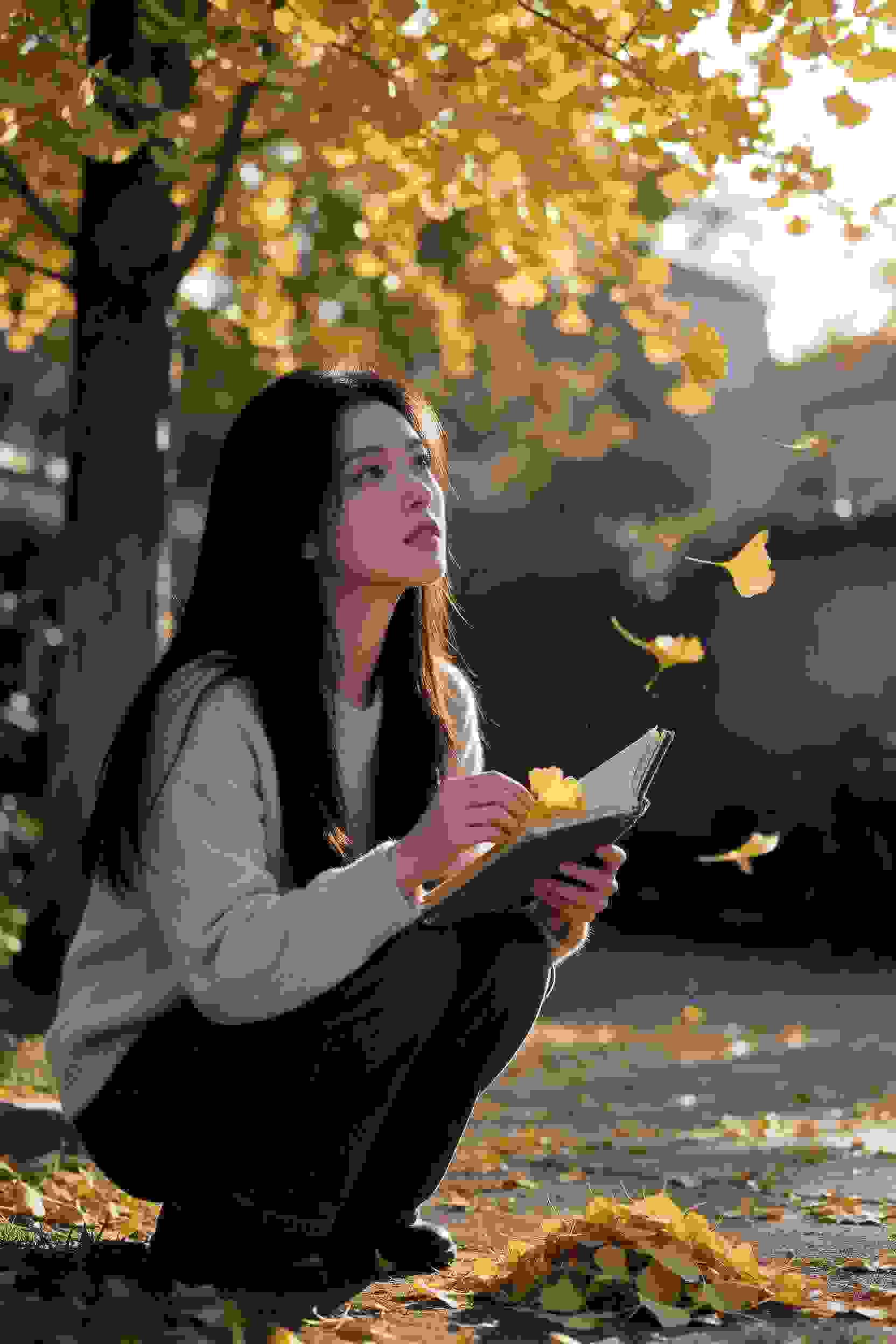 《光芒如初》